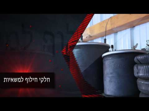 דיוקים