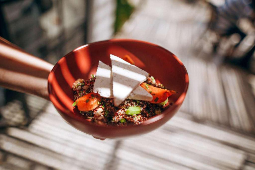 בית מלצ'ט בית מלצ'ט