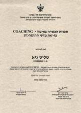 גיא טל