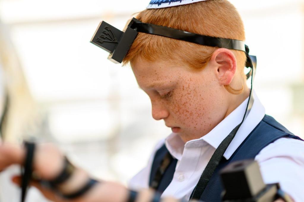 אדם בר צילום אדם בר צילום