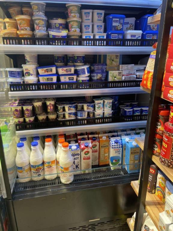 חיים בצהלה חיים בצהלה