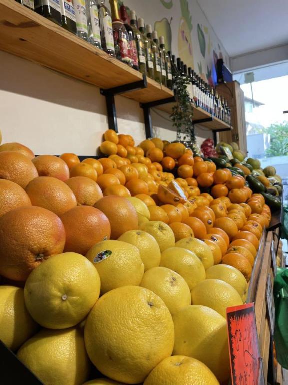 חיים בצהלה חיים בצהלה