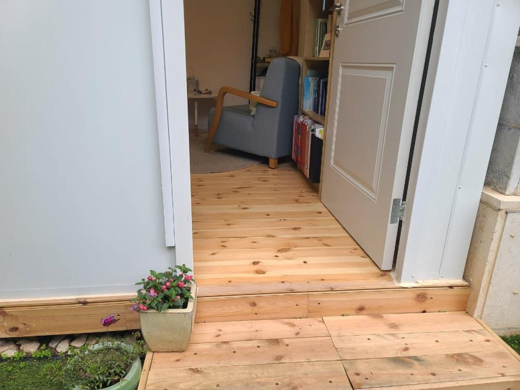 יפית נאור יפית נאור