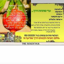 עדי פותחת דרך