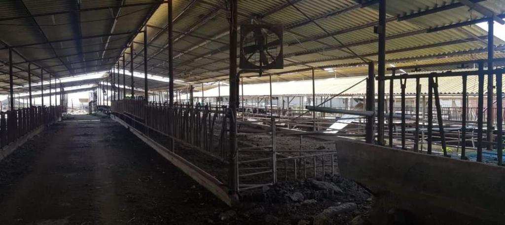 רימקס העמק רימקס העמק