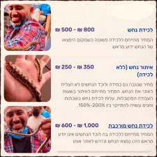 שביל הנחש