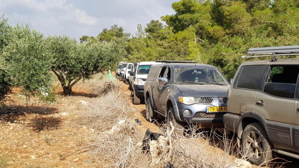 רז הדרכות וטיולים רז הדרכות וטיולים