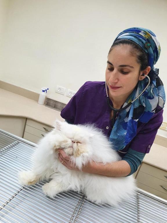 מרפאה וטרינרית קיפודן 18 מרפאה וטרינרית קיפודן 18