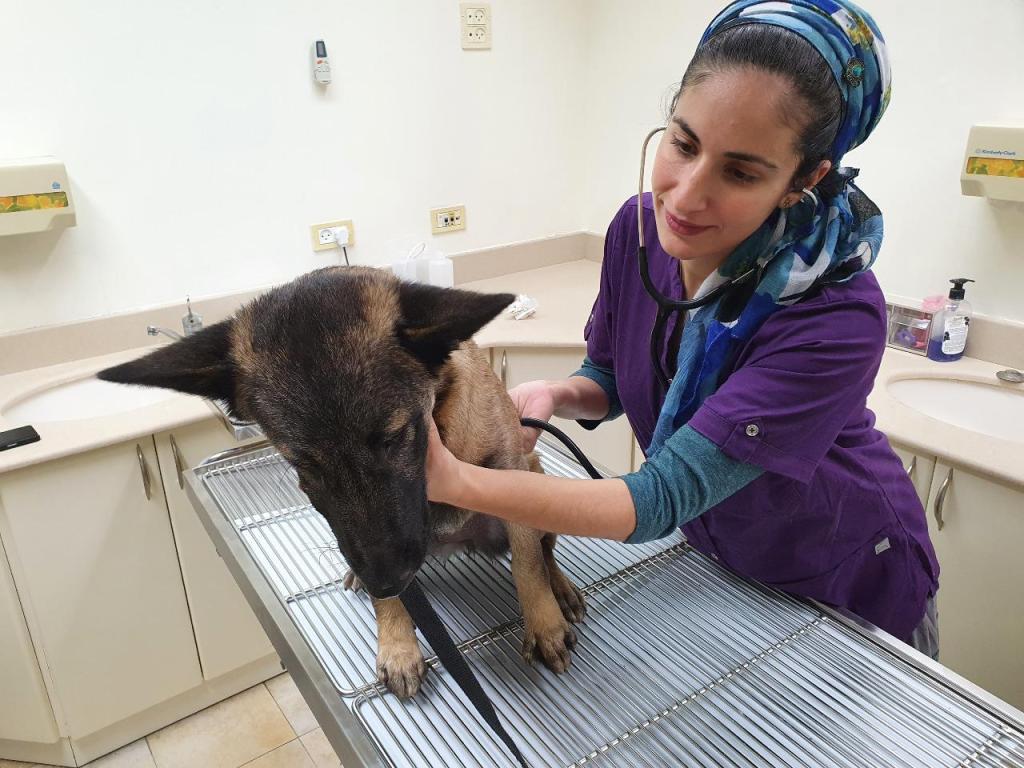 מרפאה וטרינרית קיפודן 18 מרפאה וטרינרית קיפודן 18