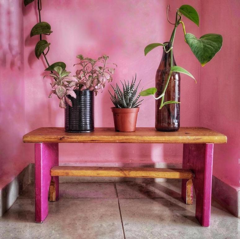 שירי לב סטודיו לעץ וDIY שירי לב סטודיו לעץ וDIY