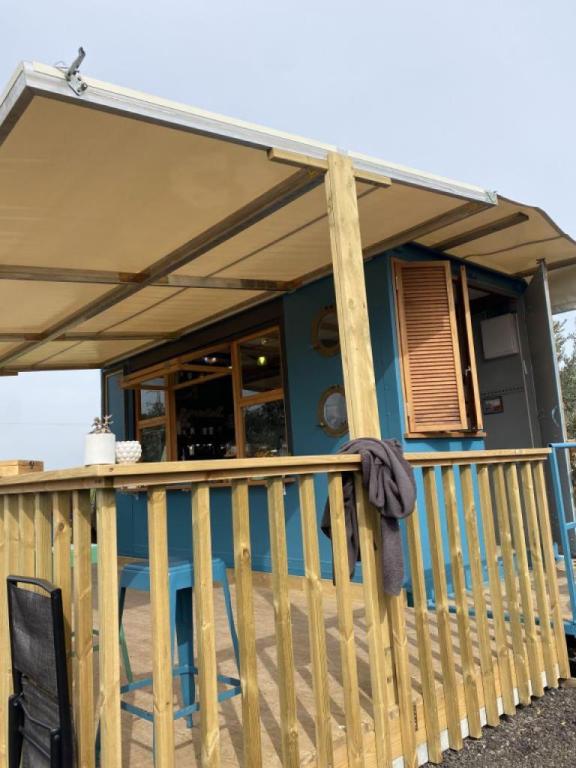 אוליב קפה אוליב קפה