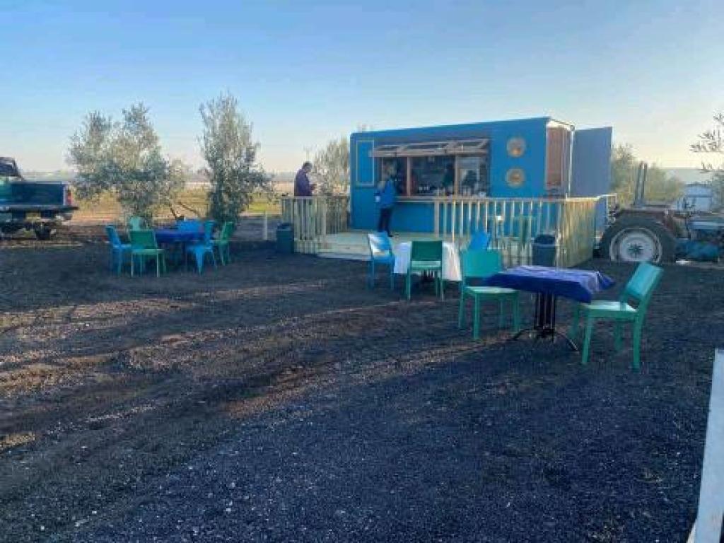 אוליב קפה אוליב קפה