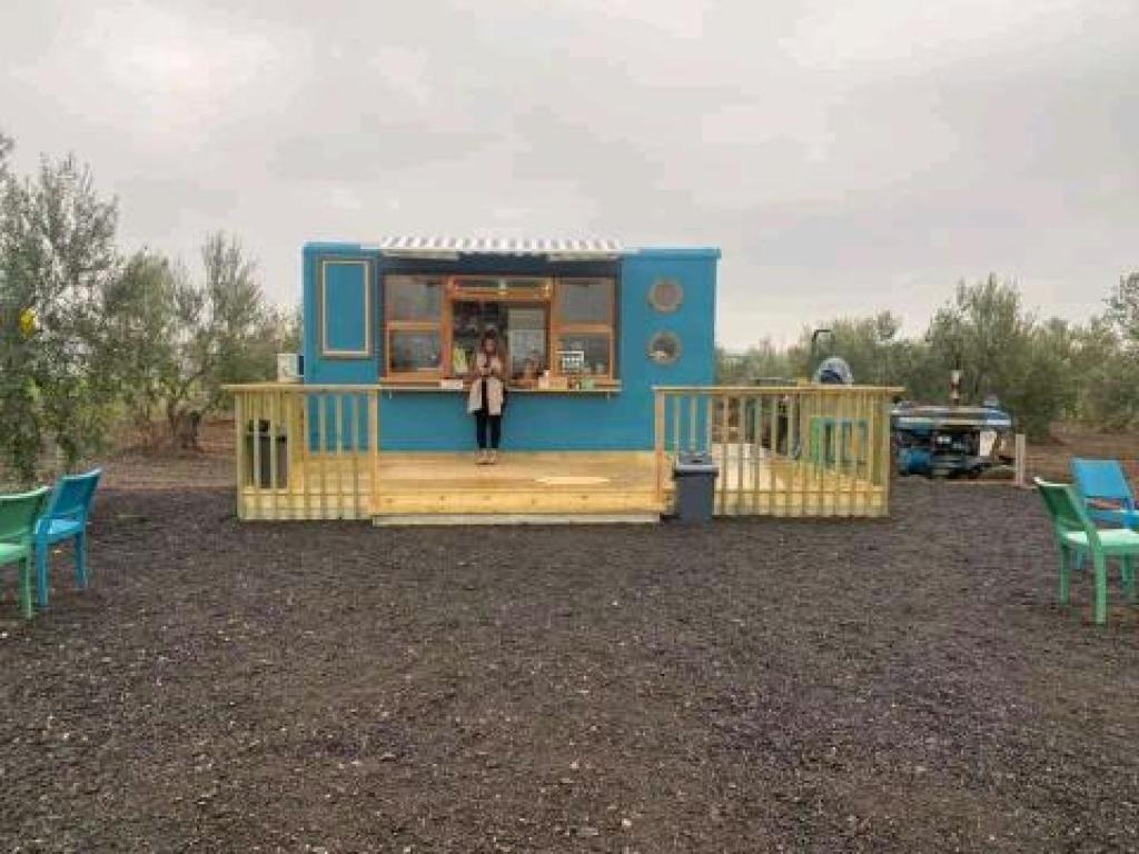 אוליב קפה אוליב קפה