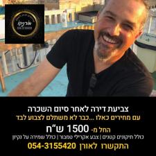 אורן וולף