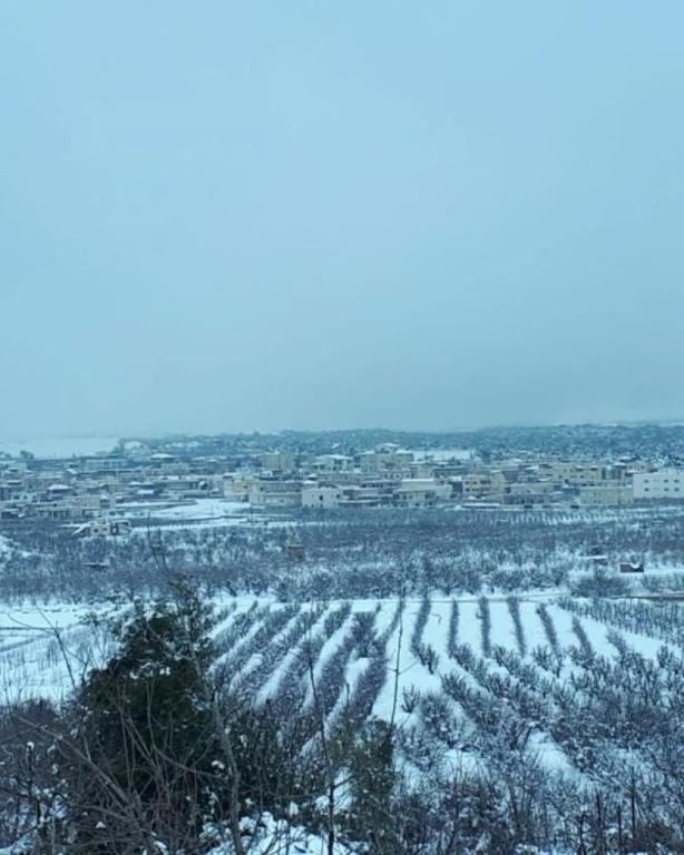 Golan Resort Golan Resort