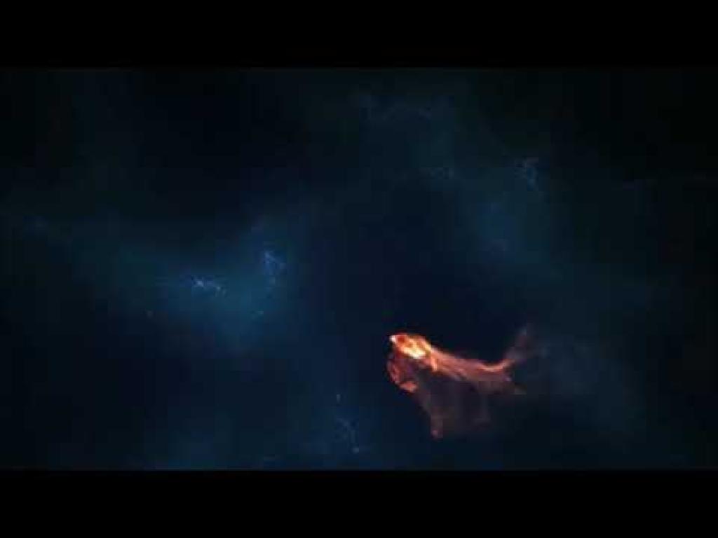 IRED שליחויות IRED שליחויות