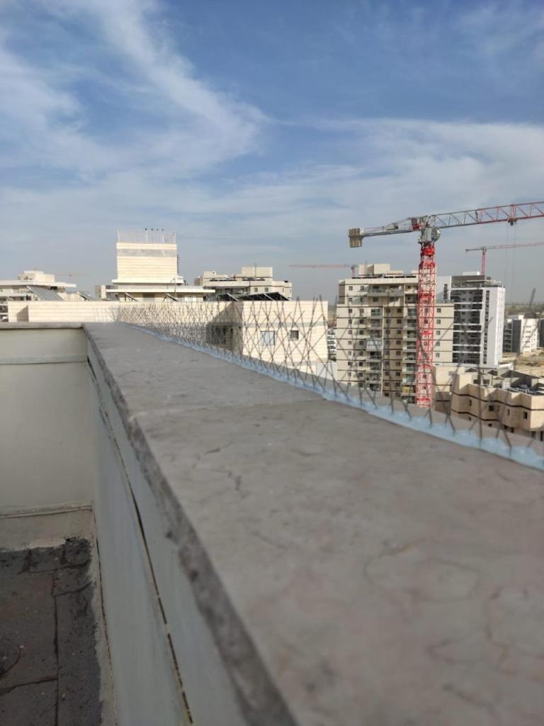 זוהר רשתות זוהר רשתות