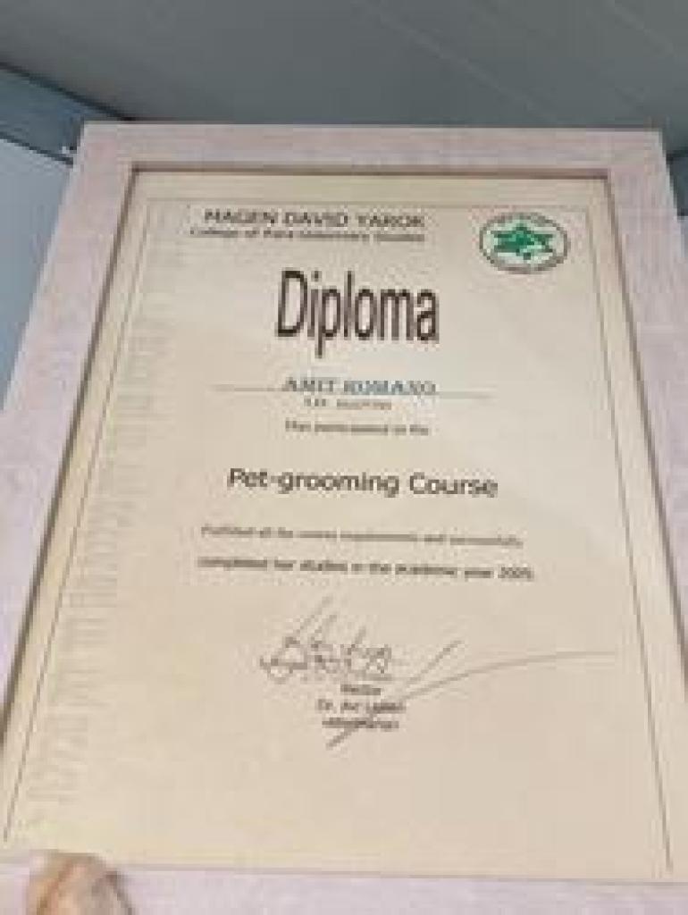 Shower Time Shower Time