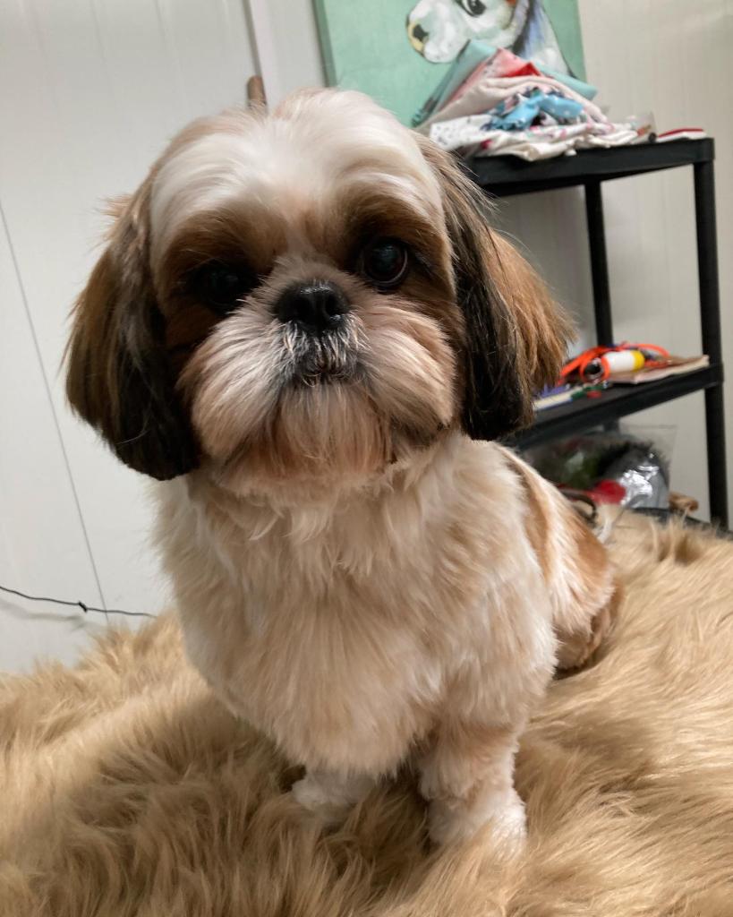 Shower Time Shower Time