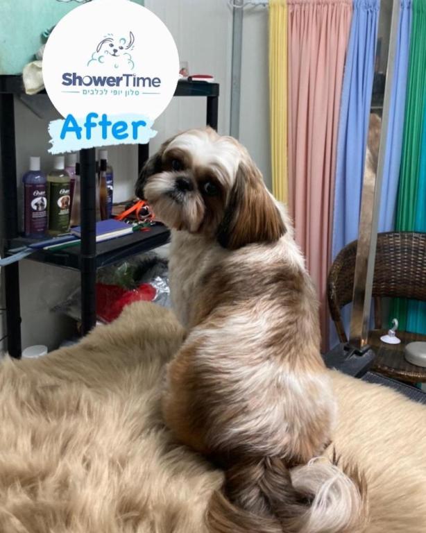 Shower Time Shower Time