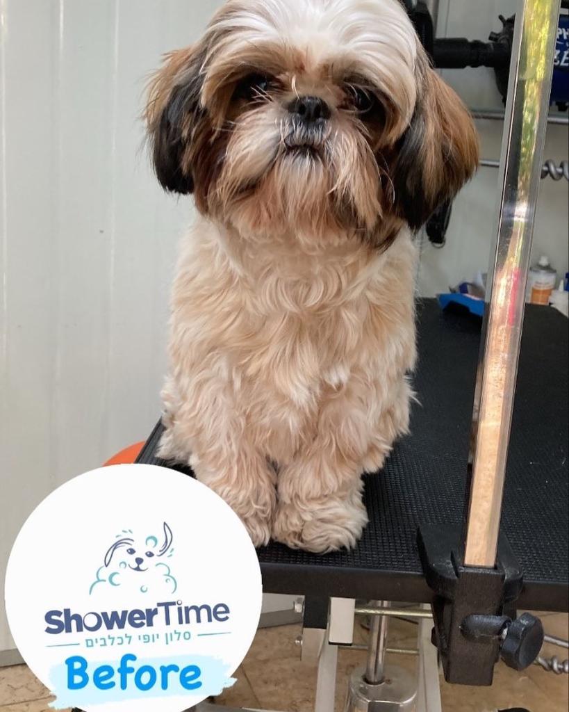 Shower Time Shower Time