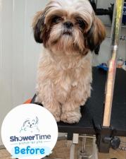 Shower Time