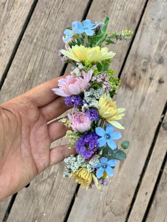 BLOOM פרחים צמחים מתנות BLOOM פרחים צמחים מתנות