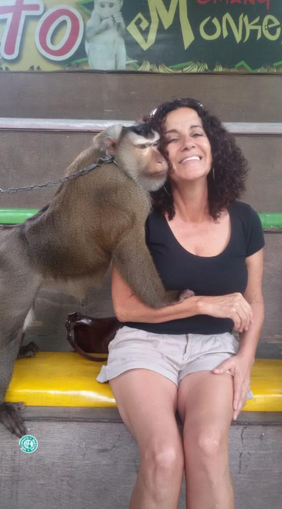 אומנות המגע המקודש אומנות המגע המקודש