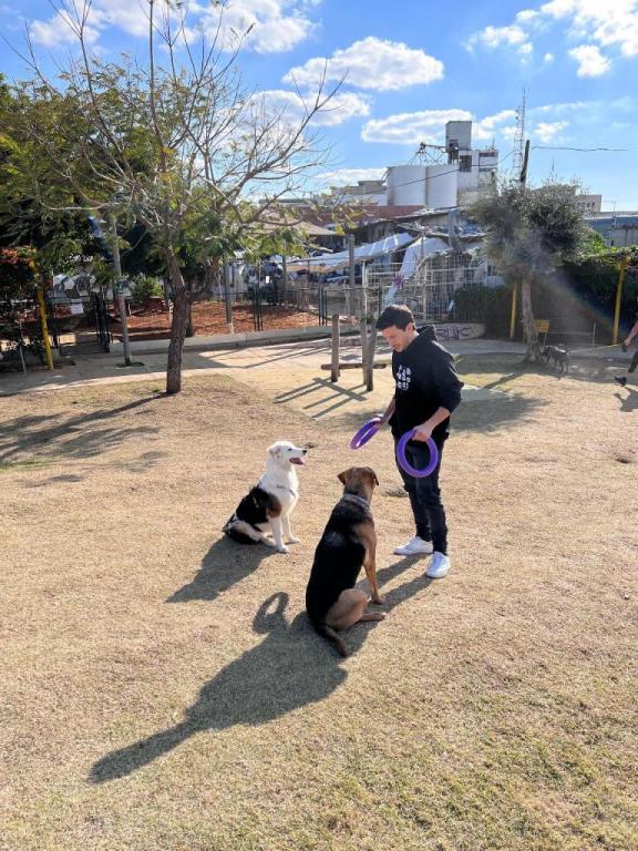 שחר וייס שחר וייס