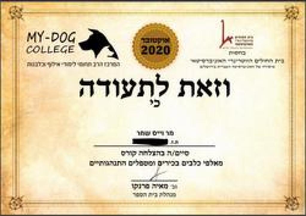 שחר וייס שחר וייס