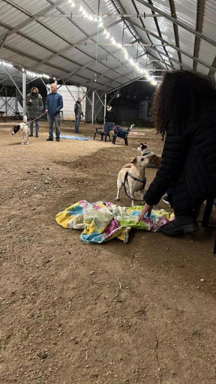 שחר וייס שחר וייס