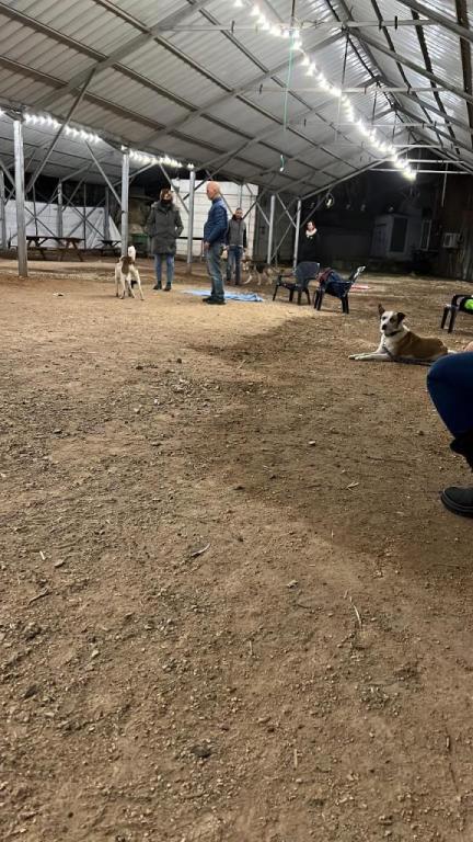 שחר וייס שחר וייס