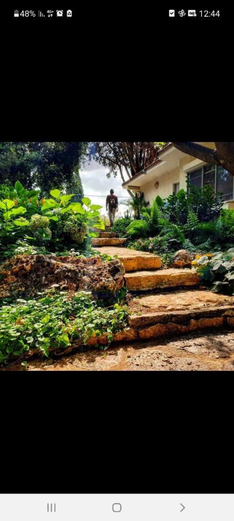 גומא תכנון והקמת גינות גומא תכנון והקמת גינות