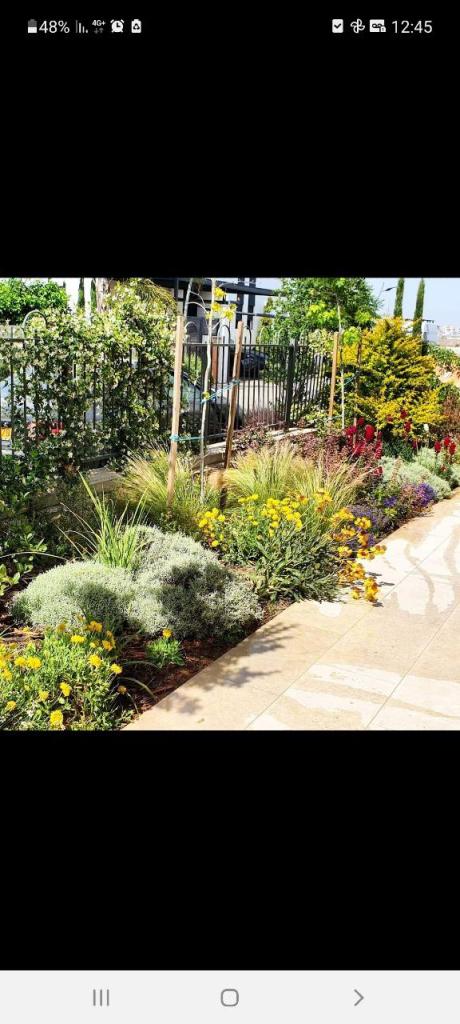 גומא תכנון והקמת גינות גומא תכנון והקמת גינות