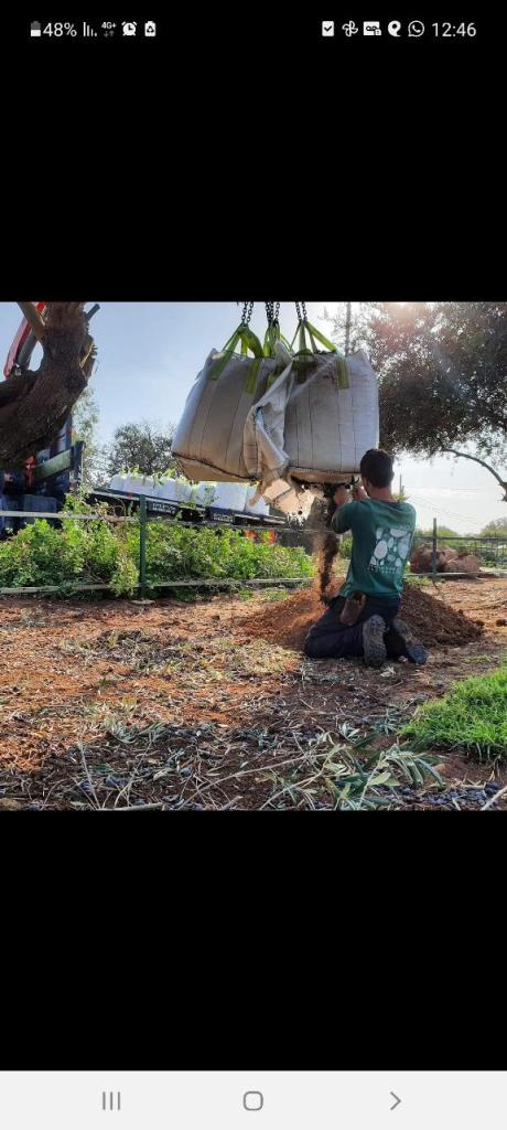 גומא תכנון והקמת גינות גומא תכנון והקמת גינות