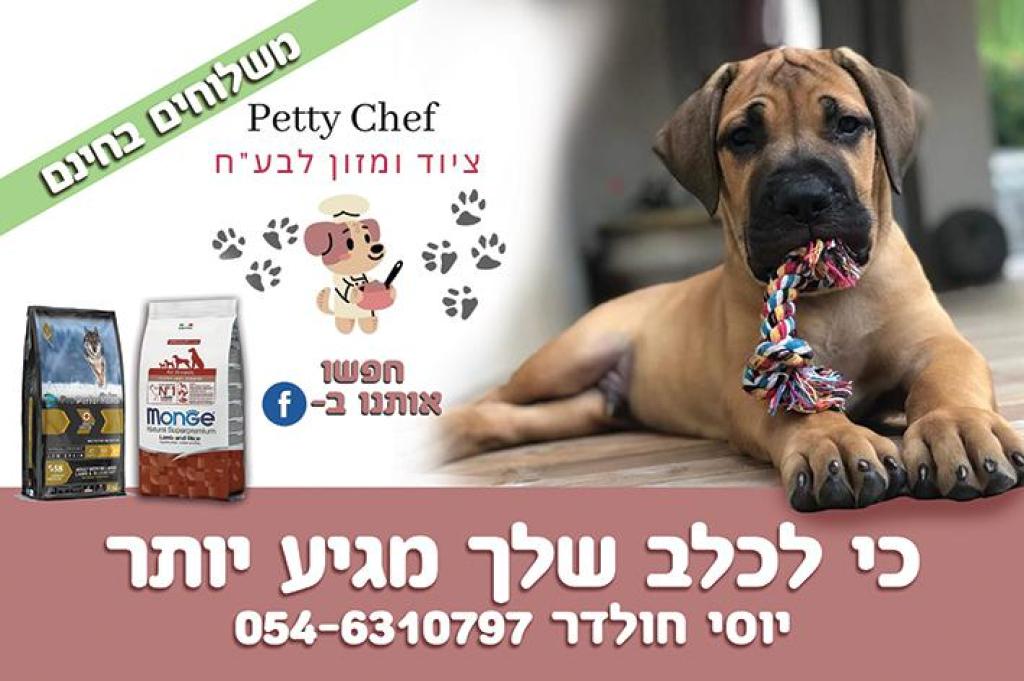 Petty Chef Petty Chef