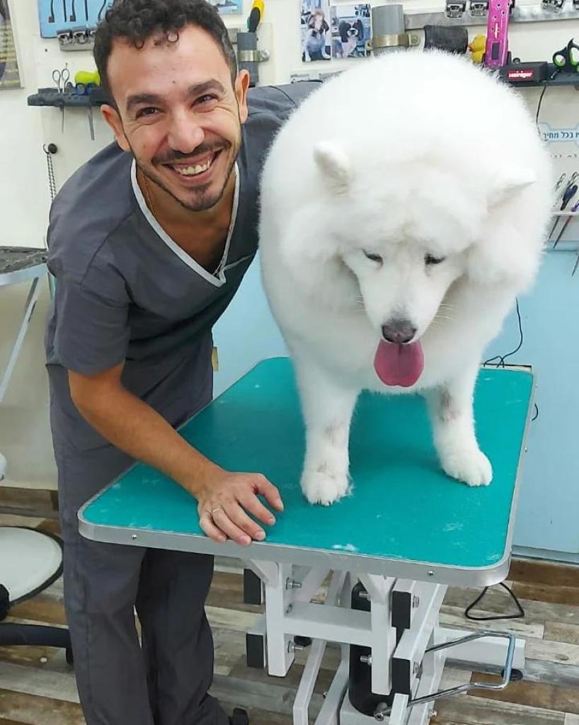 יוסי הלוחש לכלבים יוסי הלוחש לכלבים