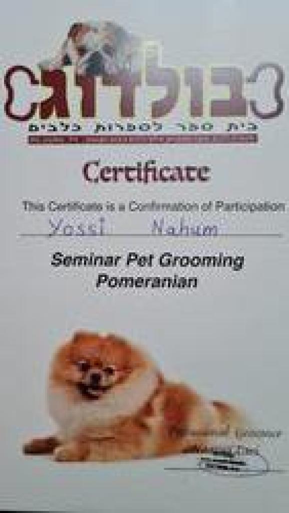 יוסי הלוחש לכלבים יוסי הלוחש לכלבים