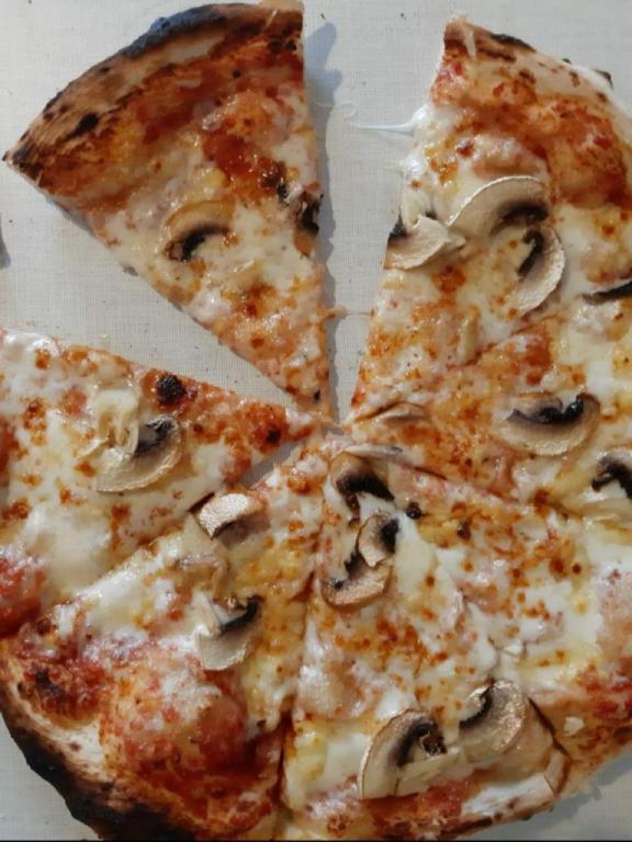 תגידו צ'יז תגידו צ'יז