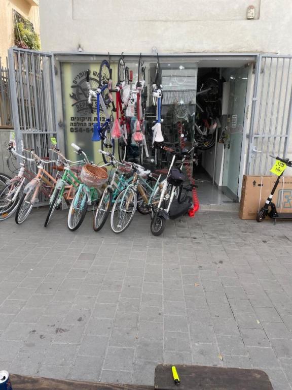 הלוחש לאופניים הלוחש לאופניים