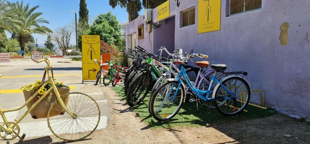 הסדנא אופניים הסדנא אופניים