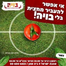 בויה