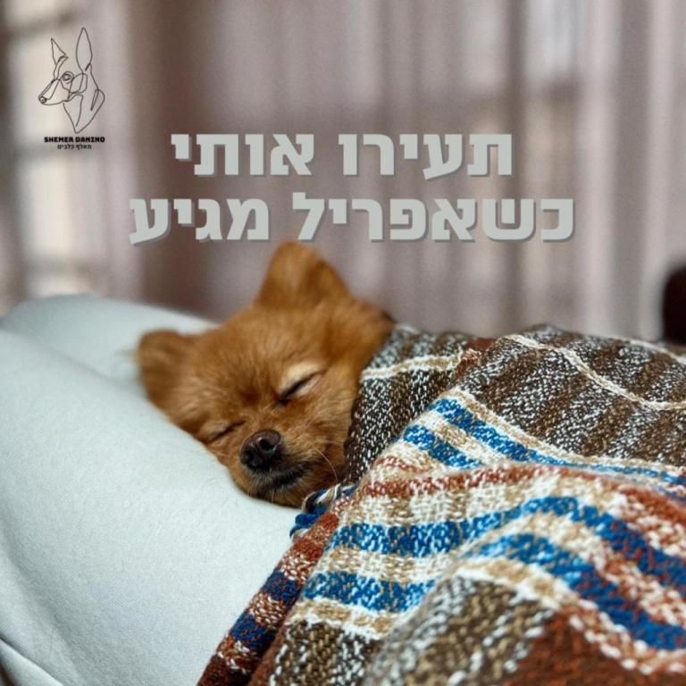 שמר דנינו שמר דנינו