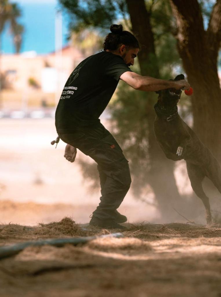 שמר דנינו שמר דנינו