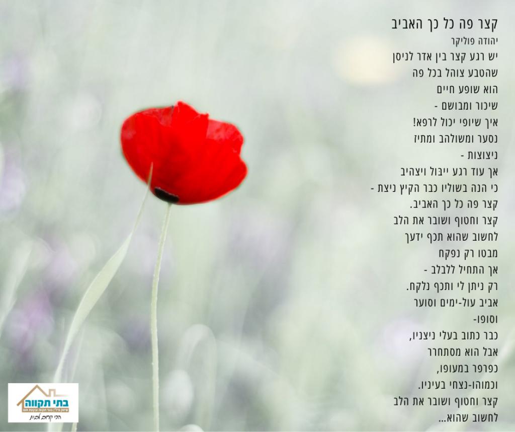 בתי תקווה בתי תקווה