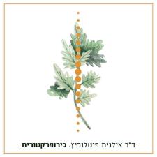 דר אילנית פיטלוביץ