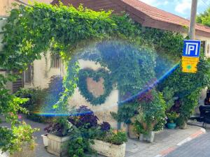 Neve tzedek heart