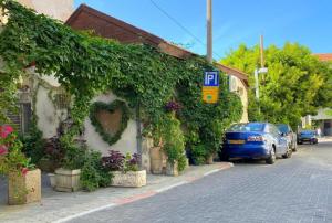 Neve tzedek heart