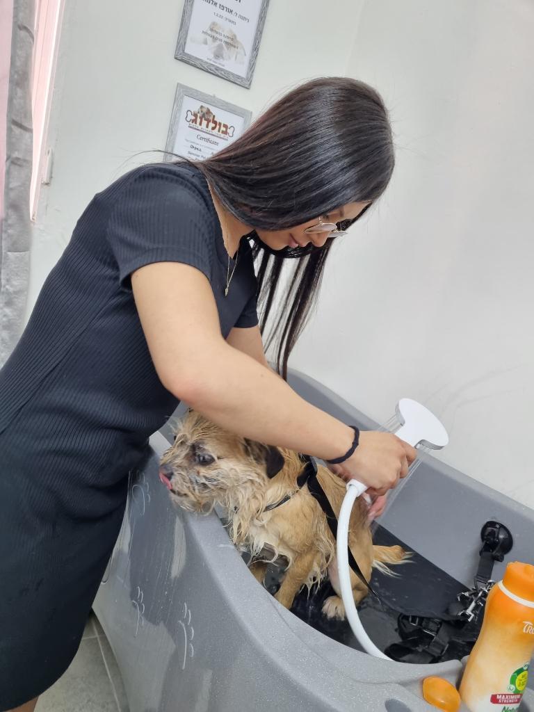 בוביק וג'ון בוביק וג'ון