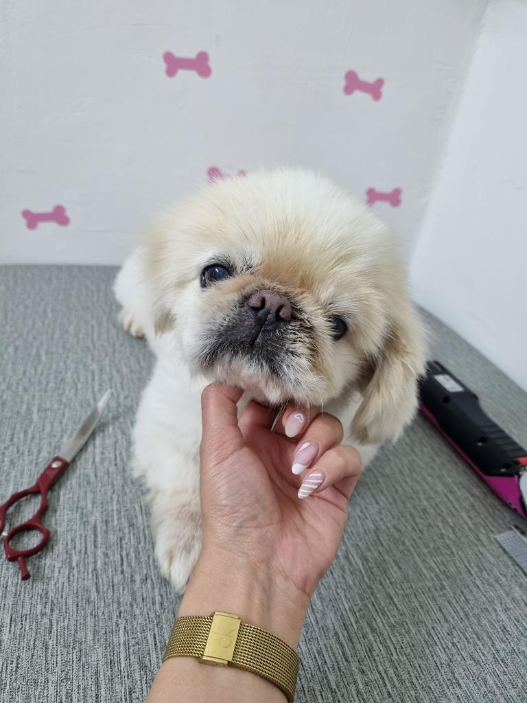 בוביק וג'ון בוביק וג'ון